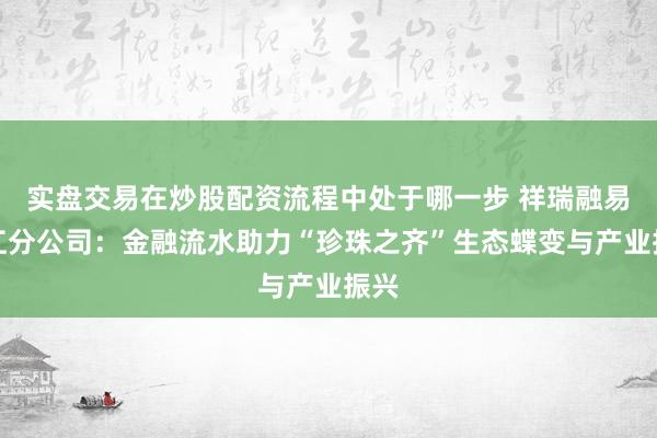 实盘交易在炒股配资流程中处于哪一步 祥瑞融易浙江分公司：金融流水助力“珍珠之齐”生态蝶变与产业振兴