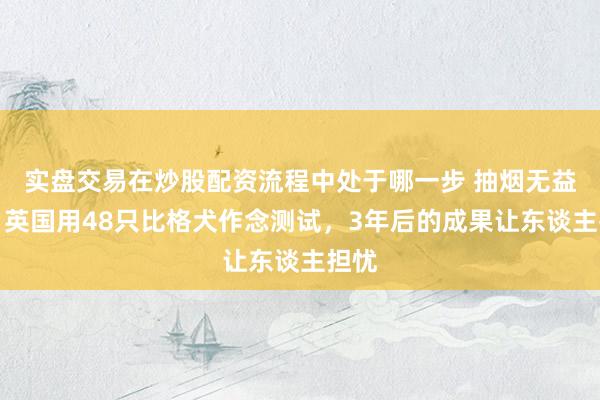 实盘交易在炒股配资流程中处于哪一步 抽烟无益吗？英国用48只比格犬作念测试，3年后的成果让东谈主担忧